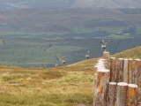 caleycanal/boat1/pa080152-th.jpg