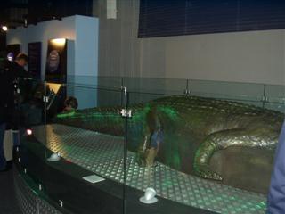 Crocodile Submarine