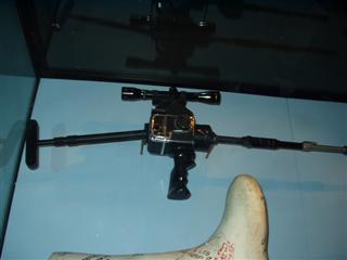 Camera Gun